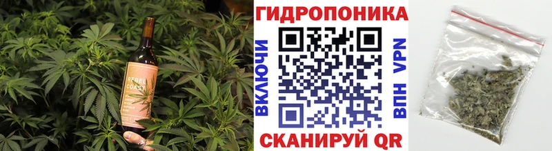 Canna-Cookies конопля  Купить закладки  Микунь 
