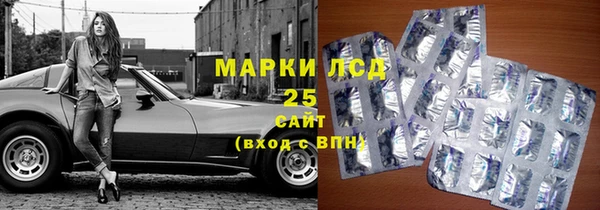 гашик Апатиты
